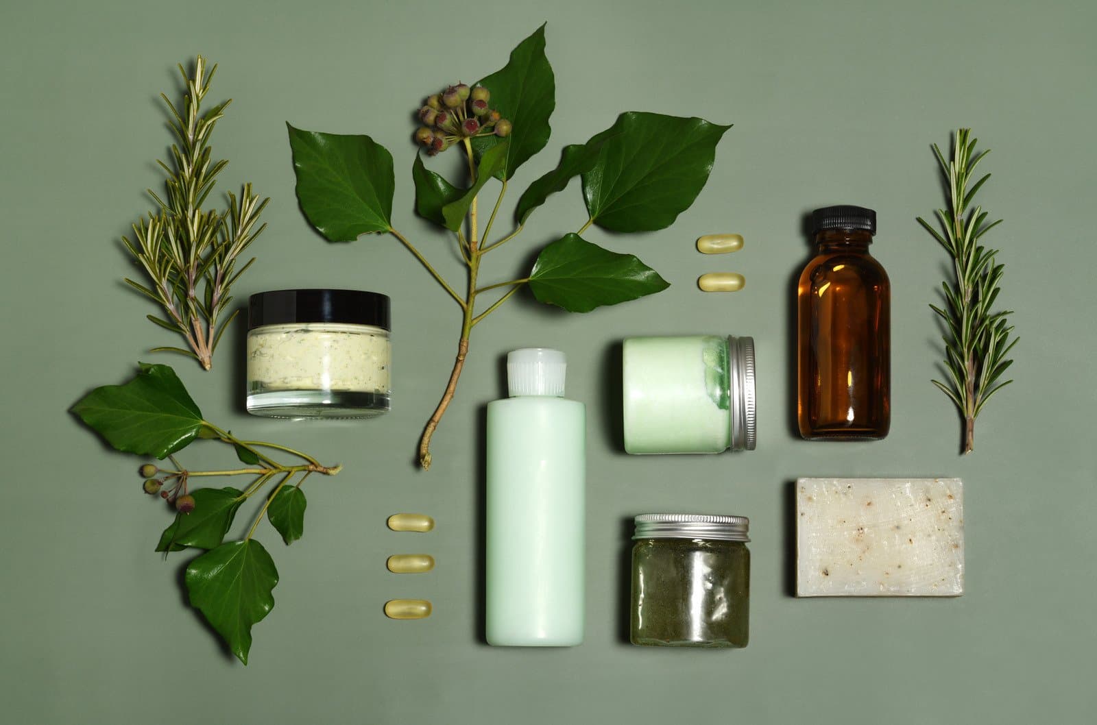 The Toxin-Free Tool Kit